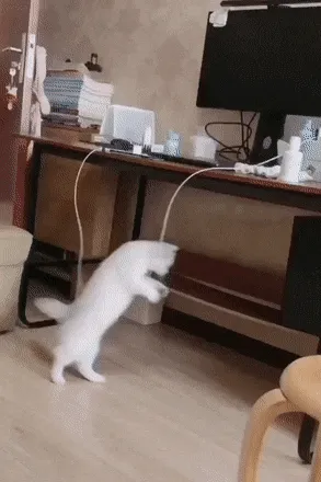 《手机保修吗》