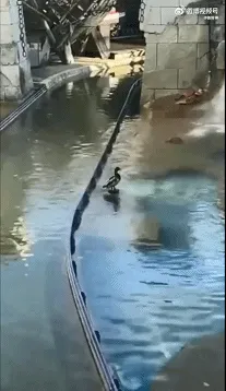 点开之前没想到这么好笑