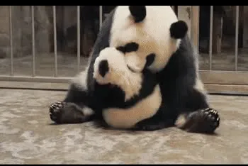 妈妈贴贴
